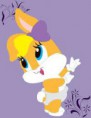 /album/fotogaleria/ll-bunny-jpg1/